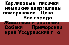 Карликовые “лисички“  немецкие цвергшпицы/померанские › Цена ­ 35 000 - Все города Животные и растения » Собаки   . Приморский край,Уссурийский г. о. 